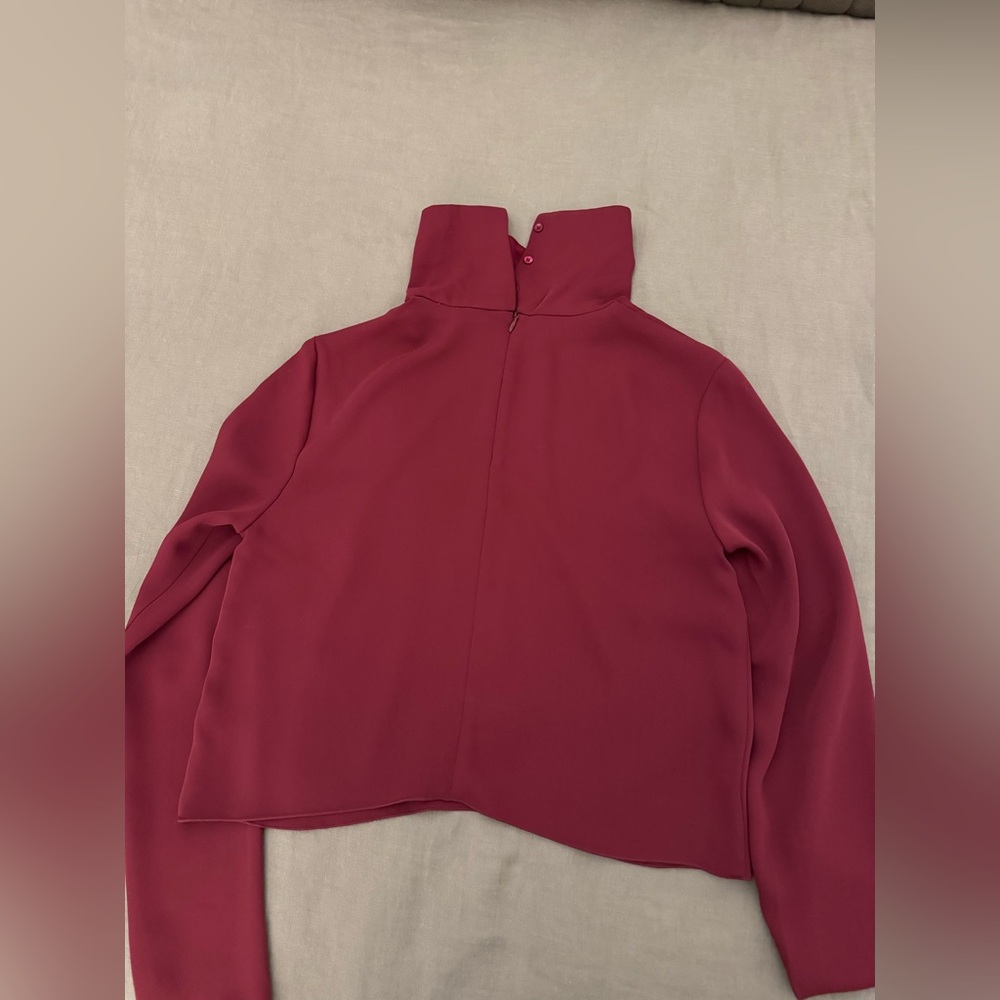 Aritzia Babaton Rembrandt Turtleneck Blouse - Picture 8 of 8